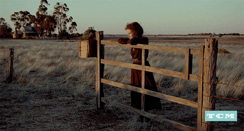 Sam Neill Australia GIF by Turner Classic Movies
