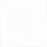 Cat Love GIF by sillynub