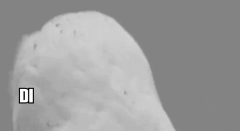 Shiba GIF by SHIBABETS.GG