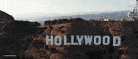 Globetrotter Priyankachopra GIF
