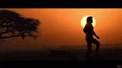 Globetrotter Priyankachopra GIF