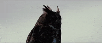 Music Video Rock GIF by Asking Alexandria