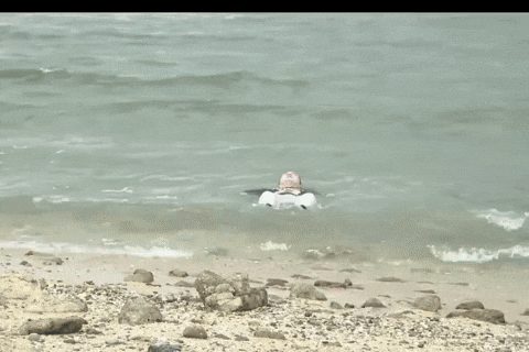 In The Water Swimming GIF