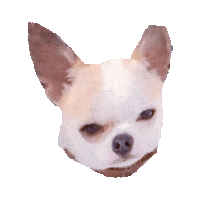 gue STICKER by imoji