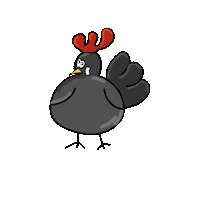 Chickens_gang chicks chickens poule babette Sticker
