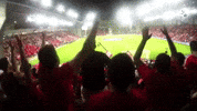 crowd bash GIF by IPFL