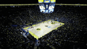 Sport Basketball GIF by EuroLeague