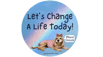 Donate Give Back Sticker by Camp Cocker Rescue