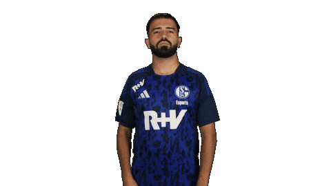 Schalke 04 Football Sticker by Bundesliga