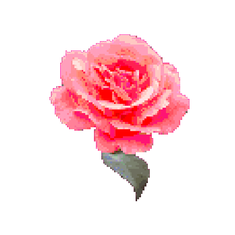 Flower Spring Sticker by Hunter