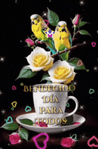 Un Nuevo Dia Flores GIF by Murcianys LLC