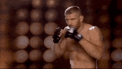 ufc 239 sport GIF by UFC