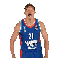 Hollatz Sticker by Anadolu Efes SK