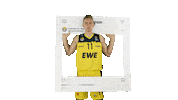 Ewe Baskets Basketball Sticker by EWE Baskets Oldenburg