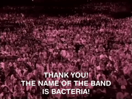 nickrewind nicksplat nickelodeon splat all that GIF