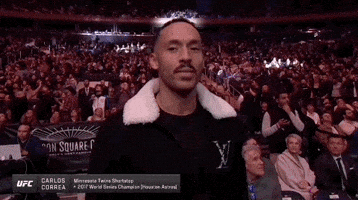 Mixed Martial Arts Sport GIF by UFC