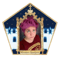 Harry Potter Miro Sticker