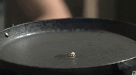 yj_jane giphygifmaker GIF