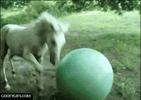 fail page epic board lame GIF