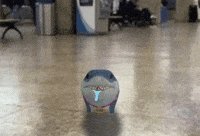 Brain Dead Jeff GIF
