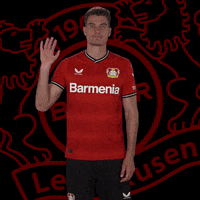 Werkself Goodbye GIF by Bayer 04 Leverkusen