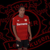 Wave Goodbye GIF by Bayer 04 Leverkusen