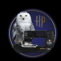 Lumos GIF by BERNINA_BEDA