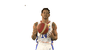 Dominican Republic Basketball Sticker by FIBA