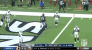 Houston Texans Football GIF by NFL