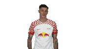 Rb Leipzig Hello Sticker by Bundesliga