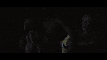 Sub Pop Thotpolice GIF by Sub Pop Records