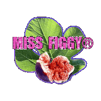 Fig Figgy Sticker by Efecantarim