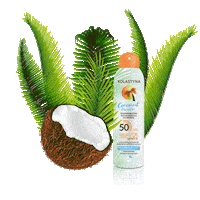 Coconut Summer Vibe Sticker by Kolastyna
