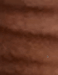 GIF by The Digital Fairy