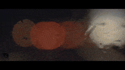 San Remo Video GIF by TheFactory.video