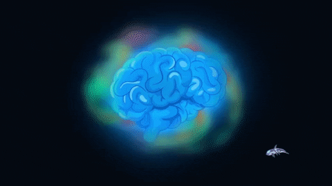 interested brain GIF by Cartoon Hangover
