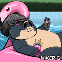 Happy Swimming Pool GIF by Nikepig
