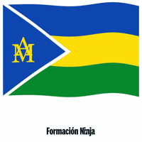 Bandera Zaragoza GIF by Formación Ninja