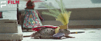 cult film wtf GIF by FilmStruck