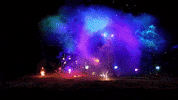 Шоусфера GIF by ShowSfera