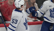 Happy Toronto Maple Leafs GIF by NHL