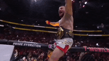 Sport Mma GIF by UFC