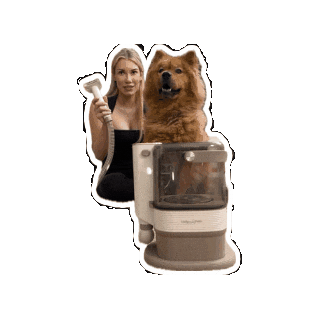 Dog Grooming Sticker by indigopetco