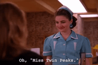 season 2 GIF by Twin Peaks on Showtime
