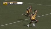 El Tri Dance GIF by Charleston Battery