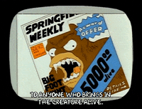 Season 1 Bigfoot Magazine Cover GIF by The Simpsons