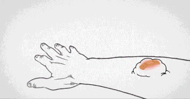 samantha bee comedy GIF