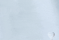 Punjab Khalsa GIF by THE NAAG