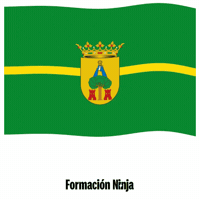 Bandera Andalucia GIF by Formación Ninja