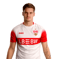 Jako Hendriks Sticker by VfB Stuttgart 1893
